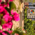 Dort Mevsim Alaçatı