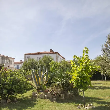 Dort Mevsim Alacati