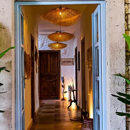 Dort Mevsim