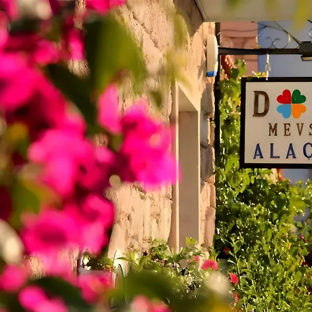 Dort Mevsim Alaçatı
